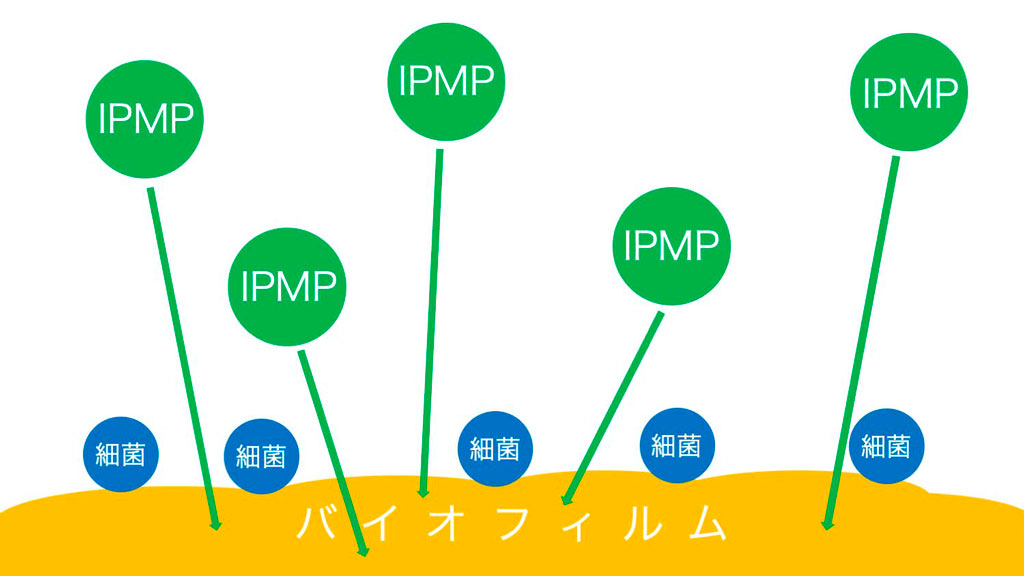 イソプロピルメチルフェノール（IPMP）の効果