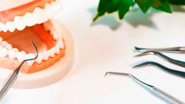 日本歯周病学会認定歯科衛生士ってどんな資格？