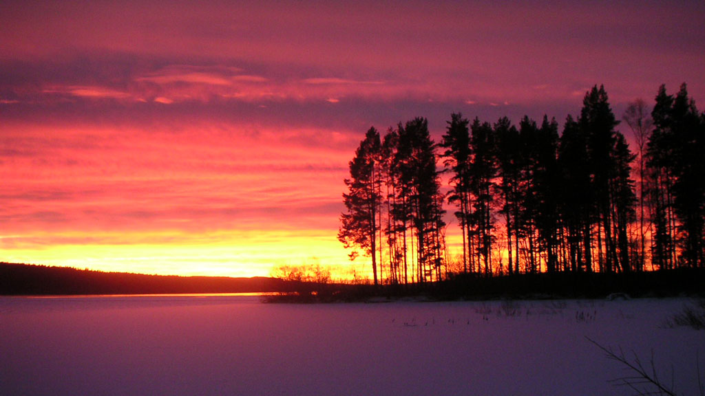 冬に撮影したスウェーデンの凍った湖