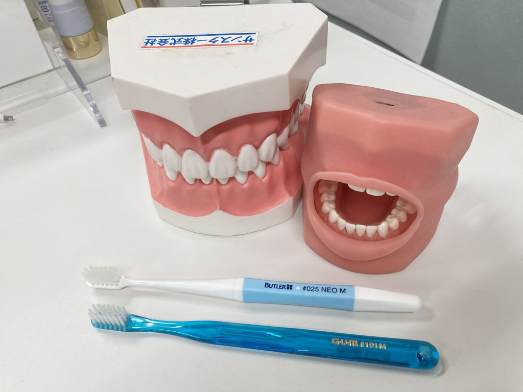 歯ブラシと顎模型は常にデスクの上に置いている